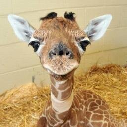 livymeredith1's profile picture. Account Director. Passionate about PR and integrated communications for brands. Views my own.