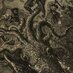 Release the Kraken (@undothekraken) Twitter profile photo