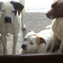 Michael Strausser - @strausserinc - Twitter