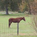 Brenda Kipp - @binklip153 - Twitter