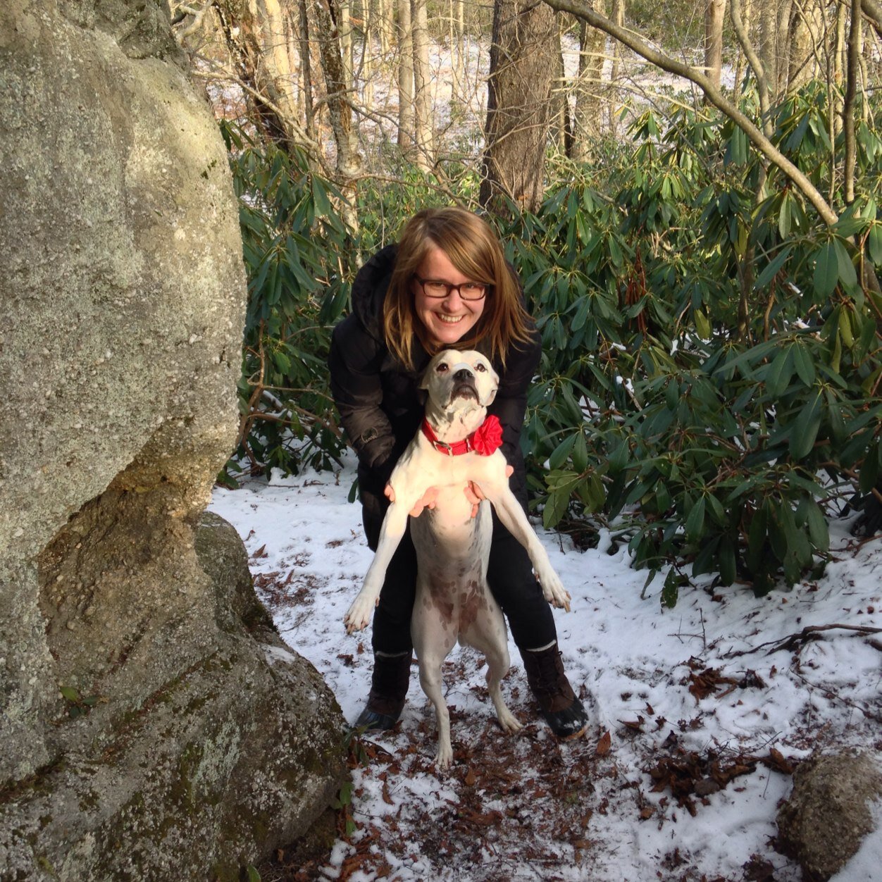 Caroomat's profile picture. 