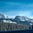 Danielle Herold - @HeroldHerold3 - Twitter