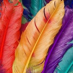 Kartashov_Egor's profile picture. Всё нормально