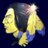 FoxboroPuck's profile image