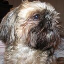 Debra Leigh - @debl361 - Twitter