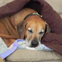 Teresa Jarrell - @tlynn1944 - Twitter