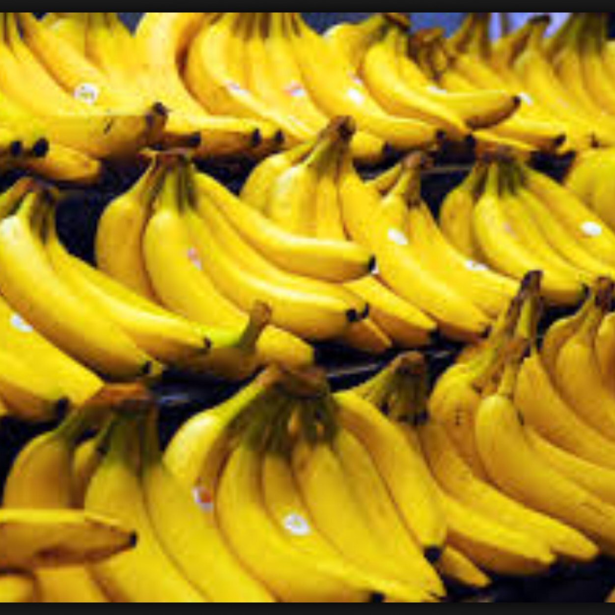 OrtonsYESCALADE's profile picture. iFunny