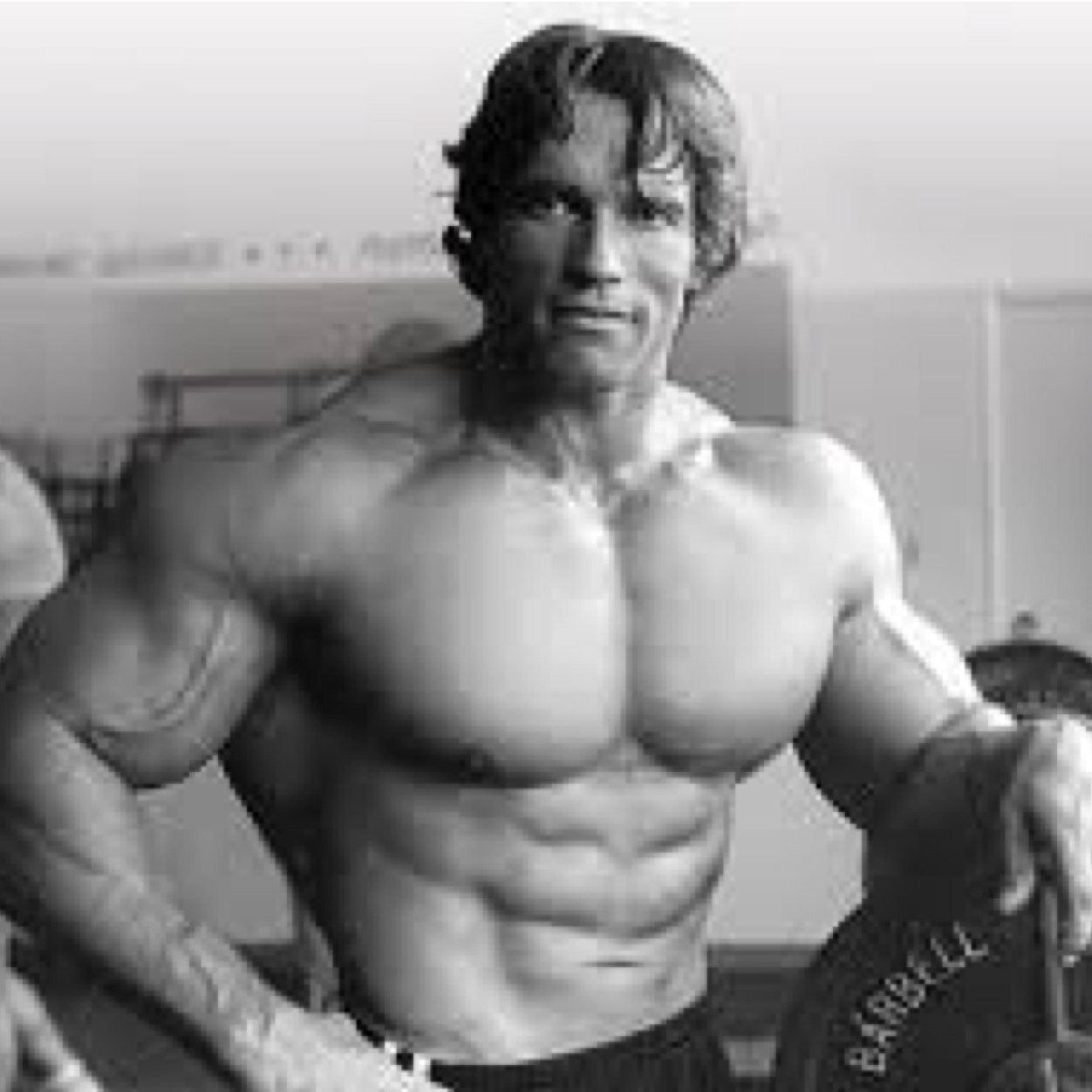 Bodybuilding History on Twitter: "Arnold Schwarzenegger, Frank Zane and