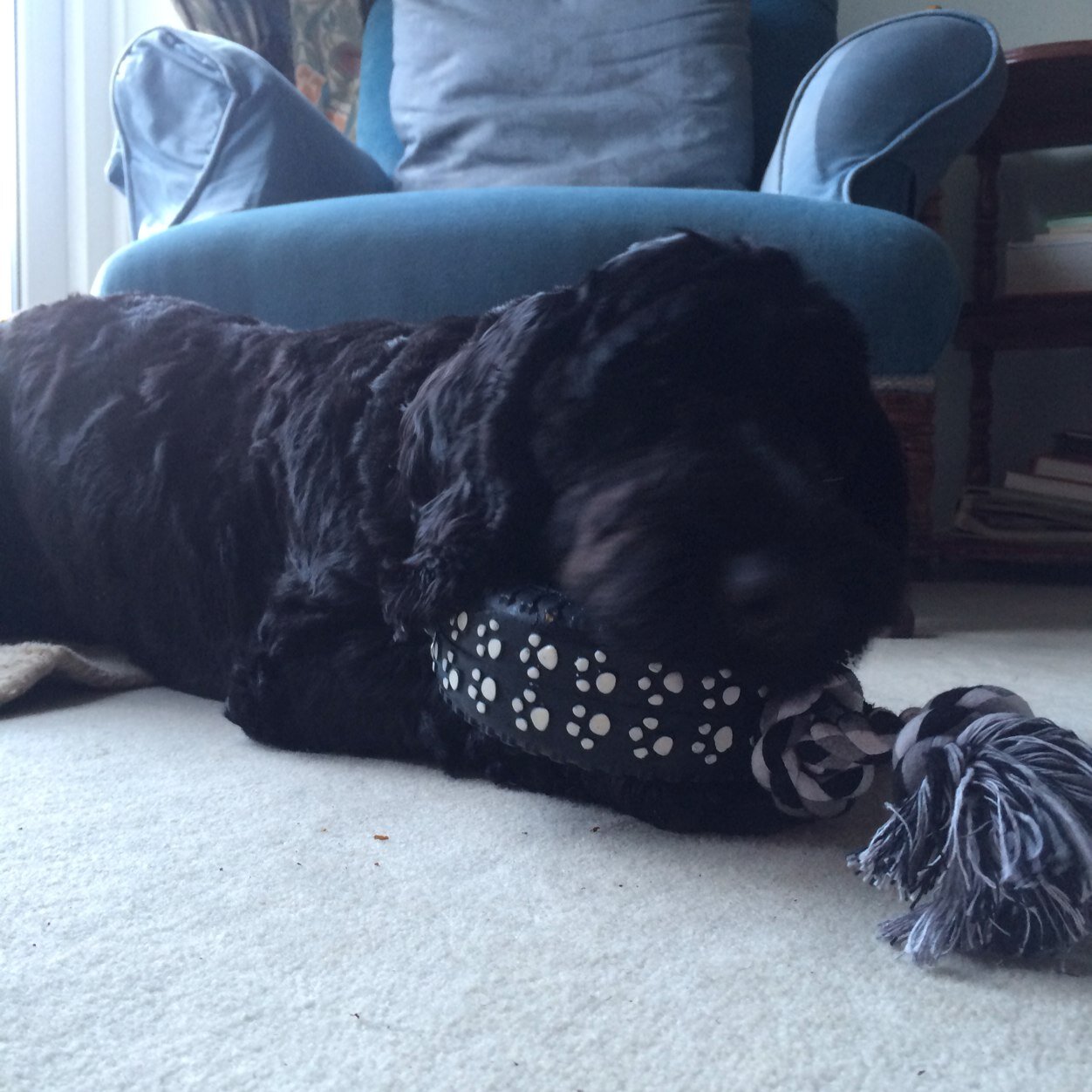 secox1's profile picture. 