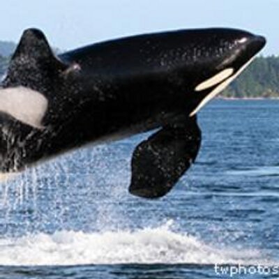 Fair Climate Project (@fairclimate) / Twitter Fair Climate Project (@fairclimate) / Twitter