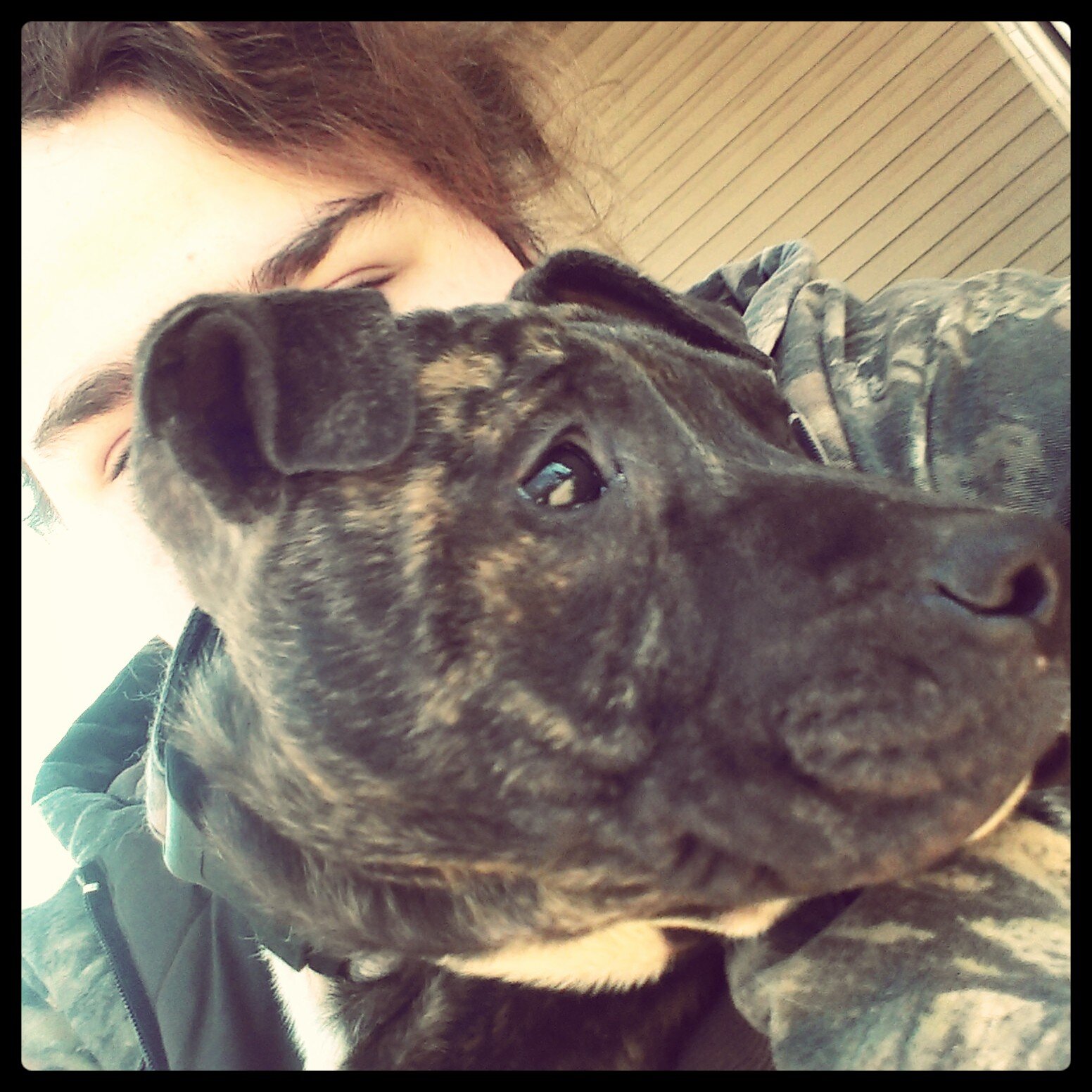 i am 21. i like dogs more than people. i am not the same.
