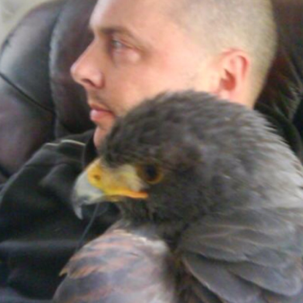 i'm a 53 yr old engineer, who loves Falconry ;)
