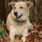 HaynesParker1 retweeted this