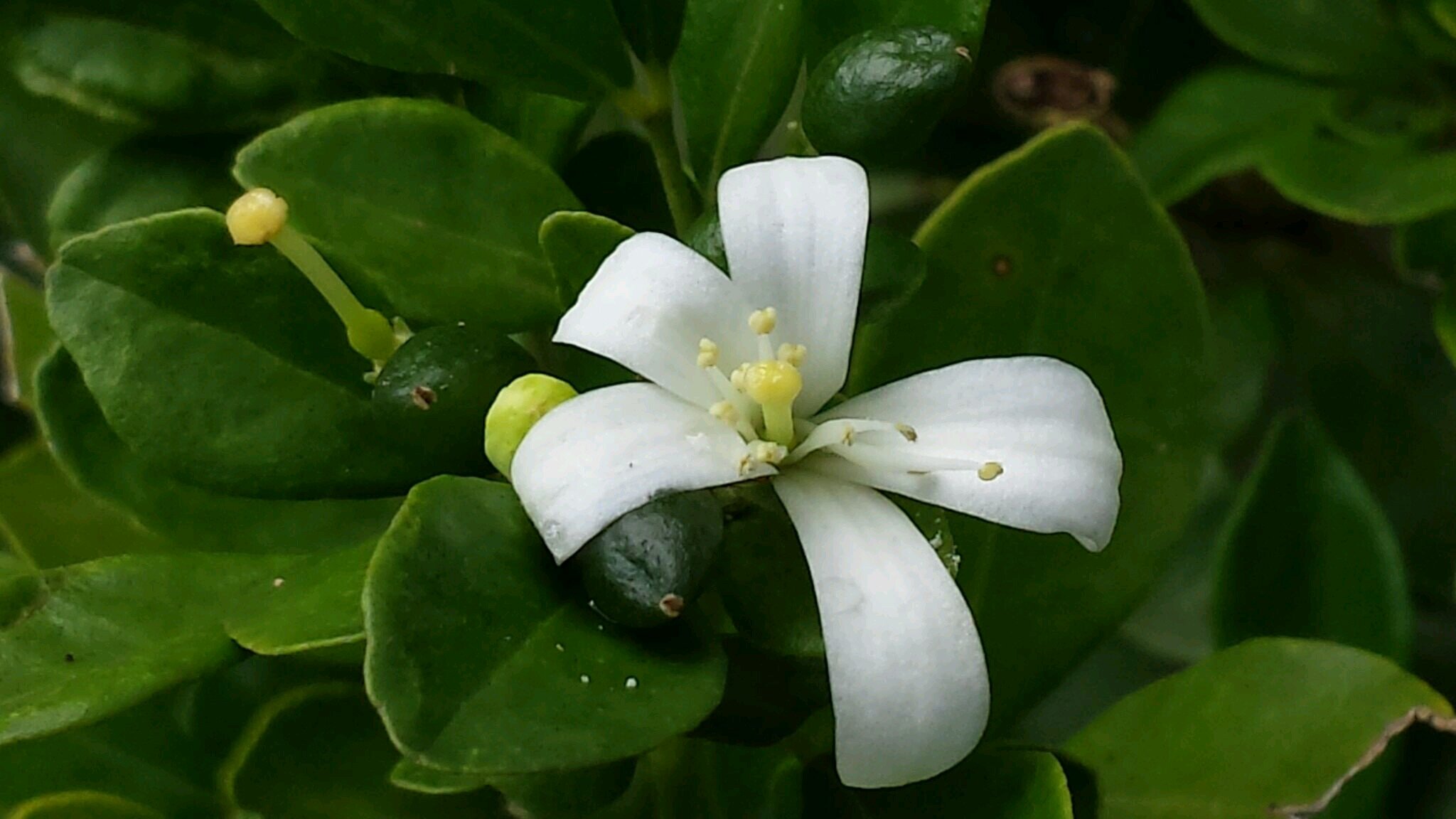 majosefermag's profile picture. 