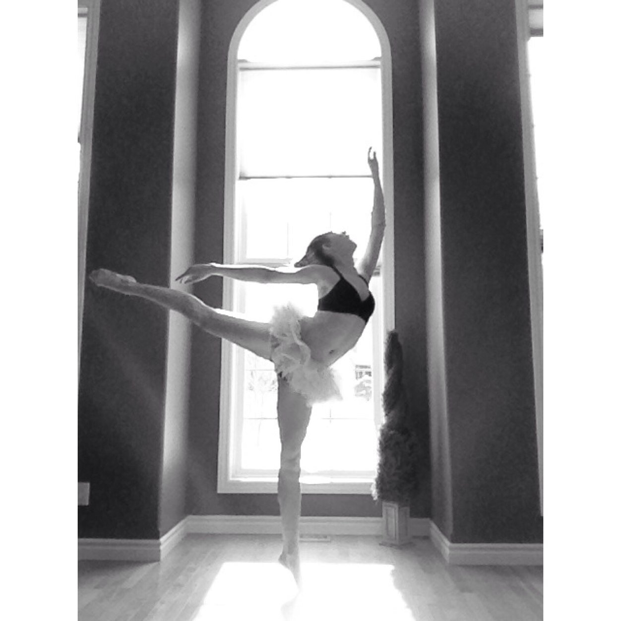 dancerthoughts4's profile picture. Just a teen dancer telling it like it is