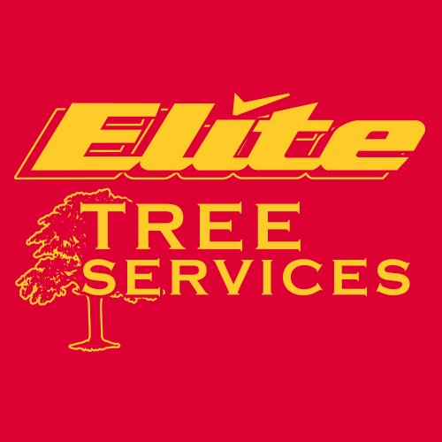 The Best Tree Services in NJ