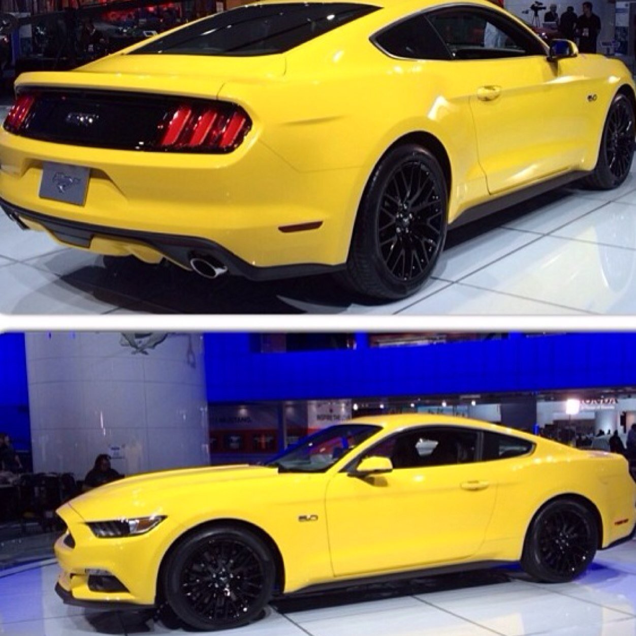 v6_mustangs Profile Picture