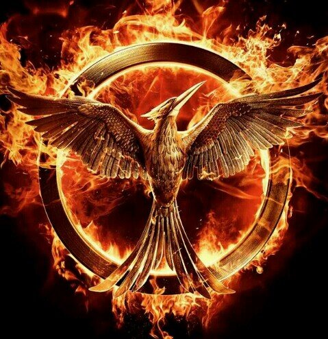 MockingjayP1's profile picture. Your source for everything about the upcoming movie Mockingjay Part 1. Mockingjay Part 1 will be in theaters on November 21th 2014.