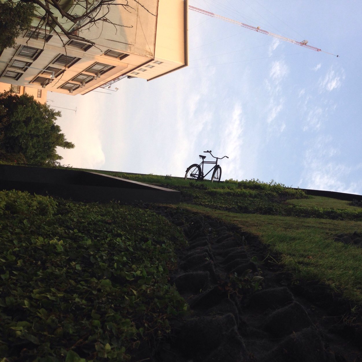 verovo19's profile picture. 