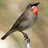 johnrc58's profile image