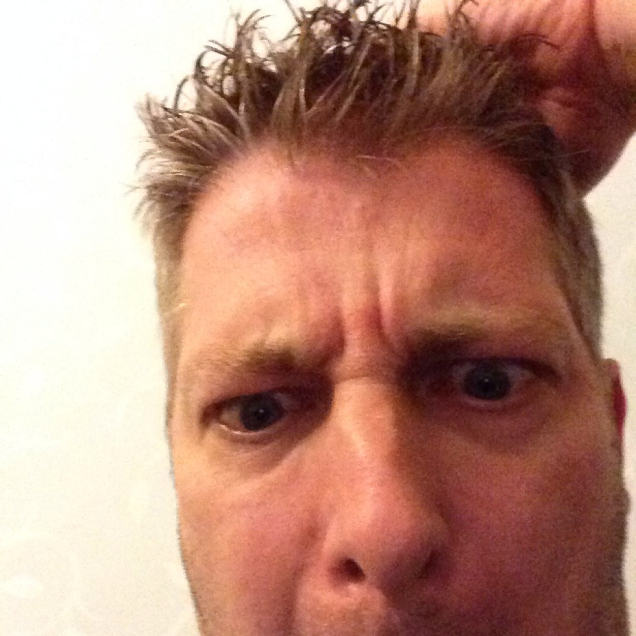 dazontheweb's profile picture. Going to squeeze every last bit of fun out of life!