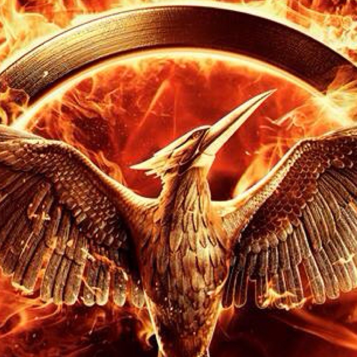 thgmockingjayus's profile picture. Official mockingjay. Mockingjay part 1 out on november 21 2014. if we burn you burn with us - katniss.