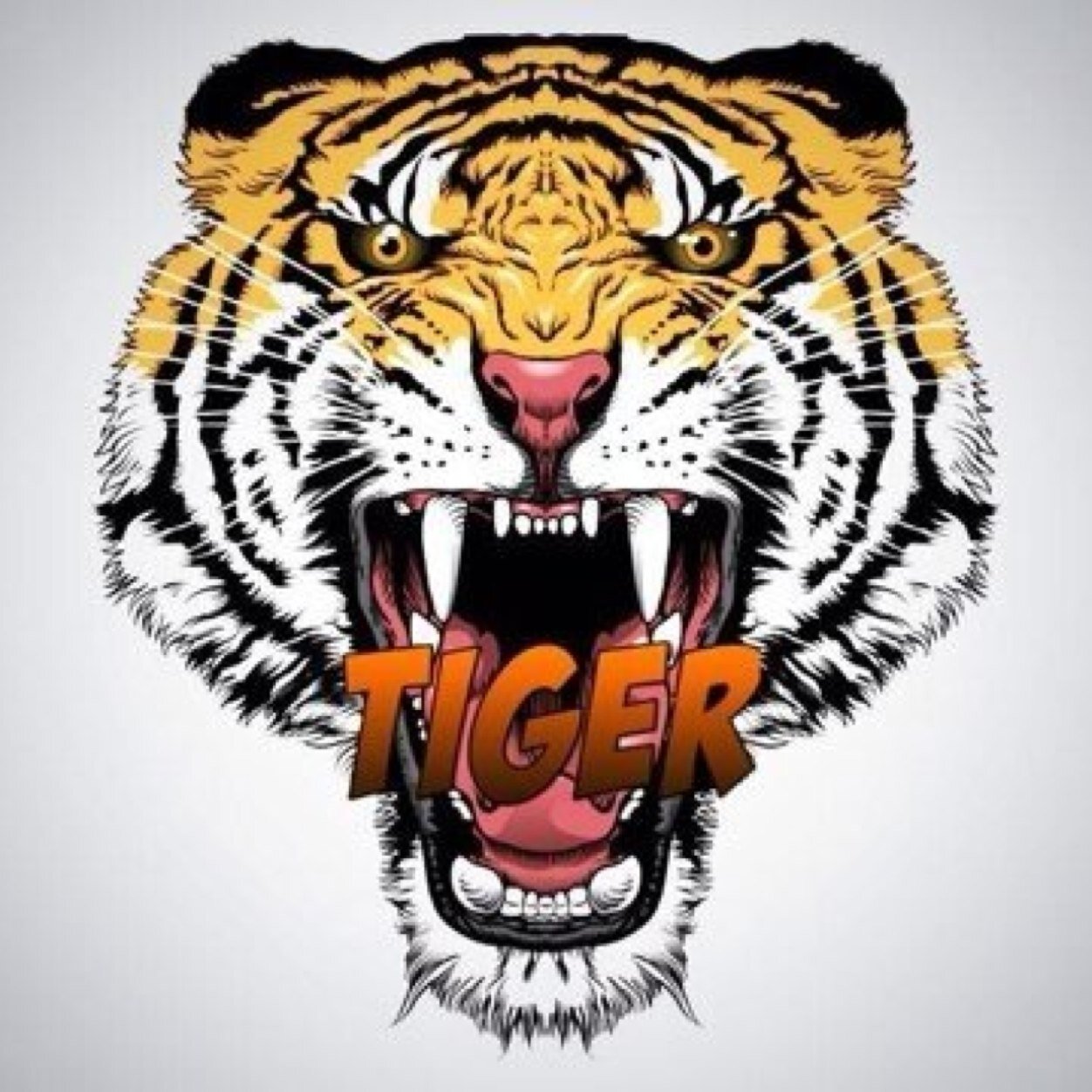 MLGTiger Profile Picture