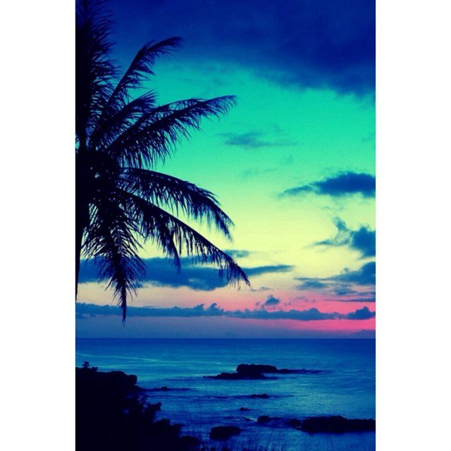 + [vibes]