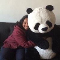 djrekha.bsky.social (@djrekha) 's Twitter Profile