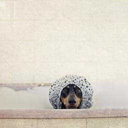 lawannalulu's profile picture. 