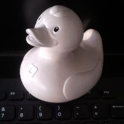 A software engineer's rubber duck. Most ducks quack - this one tweets.