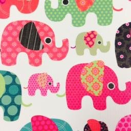 Quality & Standards Analyst @ Pink Elephant.