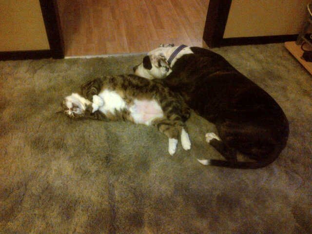 Miss_Bella69's profile picture. 