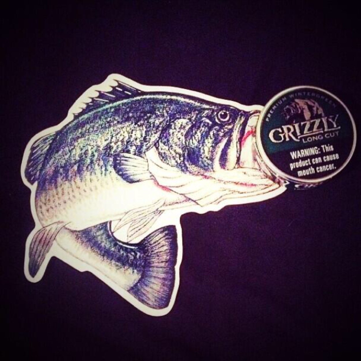 Dipping is one if the BEST things thats ever happened to me! #DBH #Chaw #Grizzly #Copenhagen #FuckCancer #ChewThirty Fishing and Dipping All Day