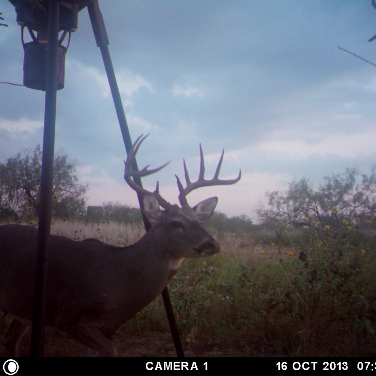 Joedameterboss's profile picture. 