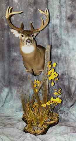 Christ ,Family , Hunting ,Farming !