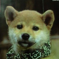 なな、 (@39nanasi) 's Twitter Profile Photo