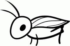 I'm Cricket. And this is...The Random Thoughts of My Weird Mind.