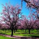 GILMA CHAVEZ VALDEZ - @GILMACHAVEZVALD - Twitter