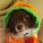 SASgraphic's profile image