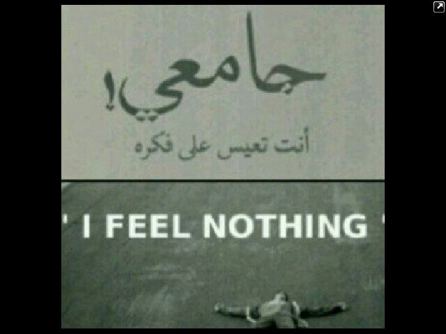طالبه جامعيه مكروفه_ مواليد 1995              #الهلال .