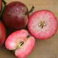 Bill Bleasdale (@welshapples) 's Twitter Profile