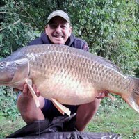 Derek Ritchie Mainline Baits (@delritchie1) Twitter profile photo