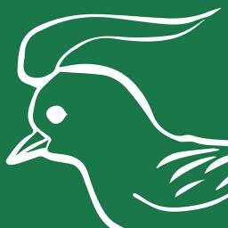 横浜の緑区、青葉区、都筑区、港北区でみられる野鳥の情報をつぶやきます。