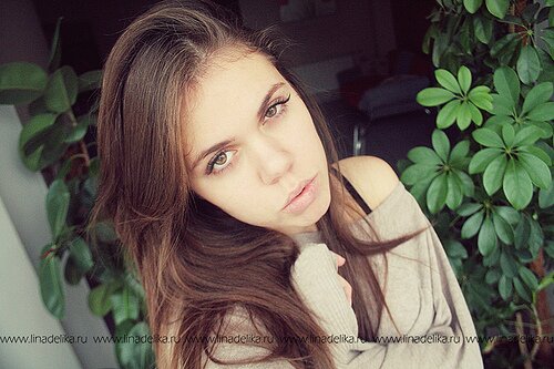 todomollneva8's profile picture. Durante mi juventud el amor sera mi maestro; en madurez, mi ayuda; y en la vejez sera mi encanto