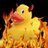 EvilDuck95's profile image