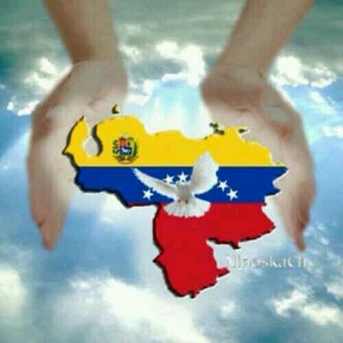 Venezuela Libre y Democrática