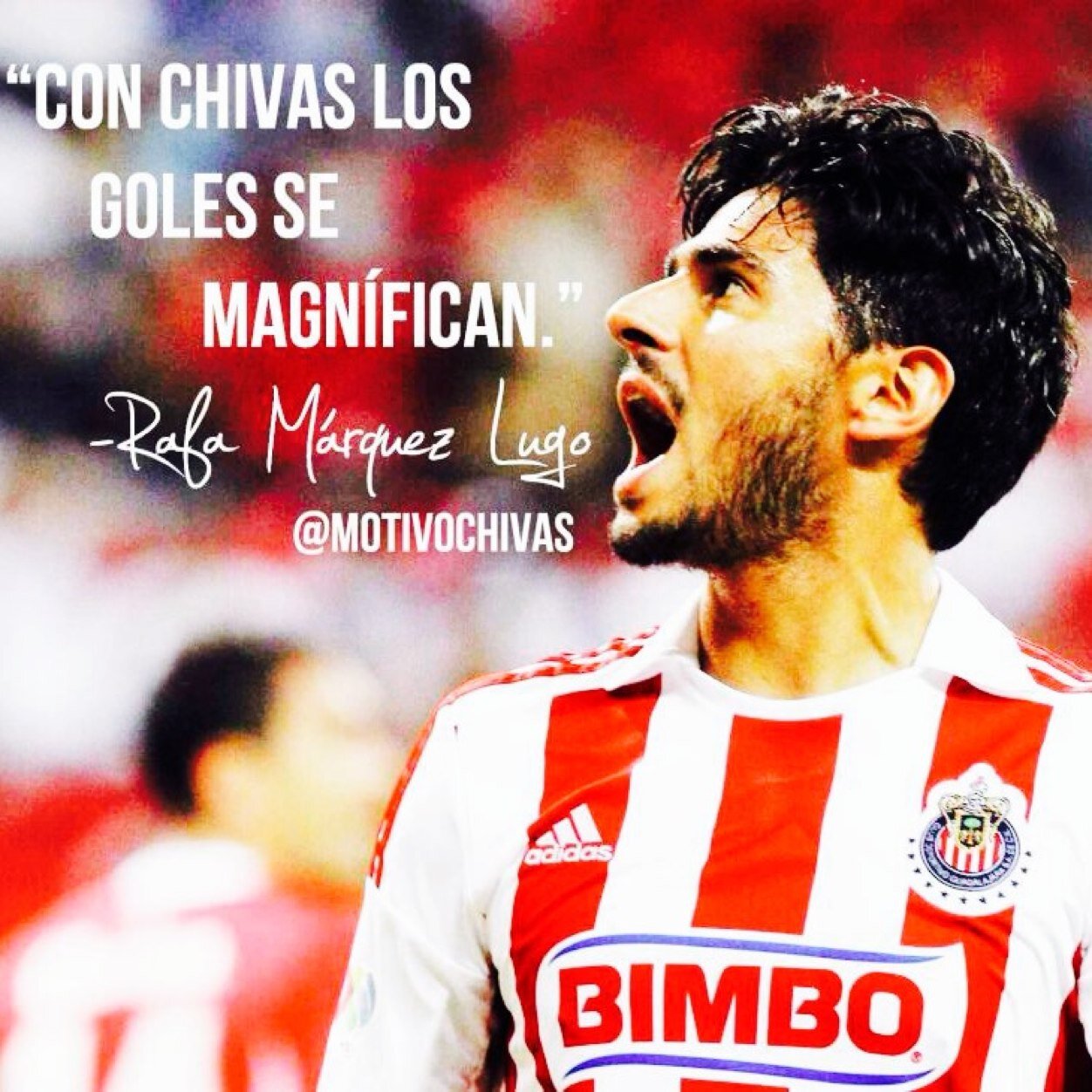 MotivoChivas's profile picture. ★ ★ ★ ★ ★ ★ ★ ★ ★ ★ ★
