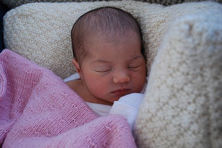 Been a baby nurse for over 20 yrs. My daughter is pregnant so I am seeking a Nanny job. 1 year minimum