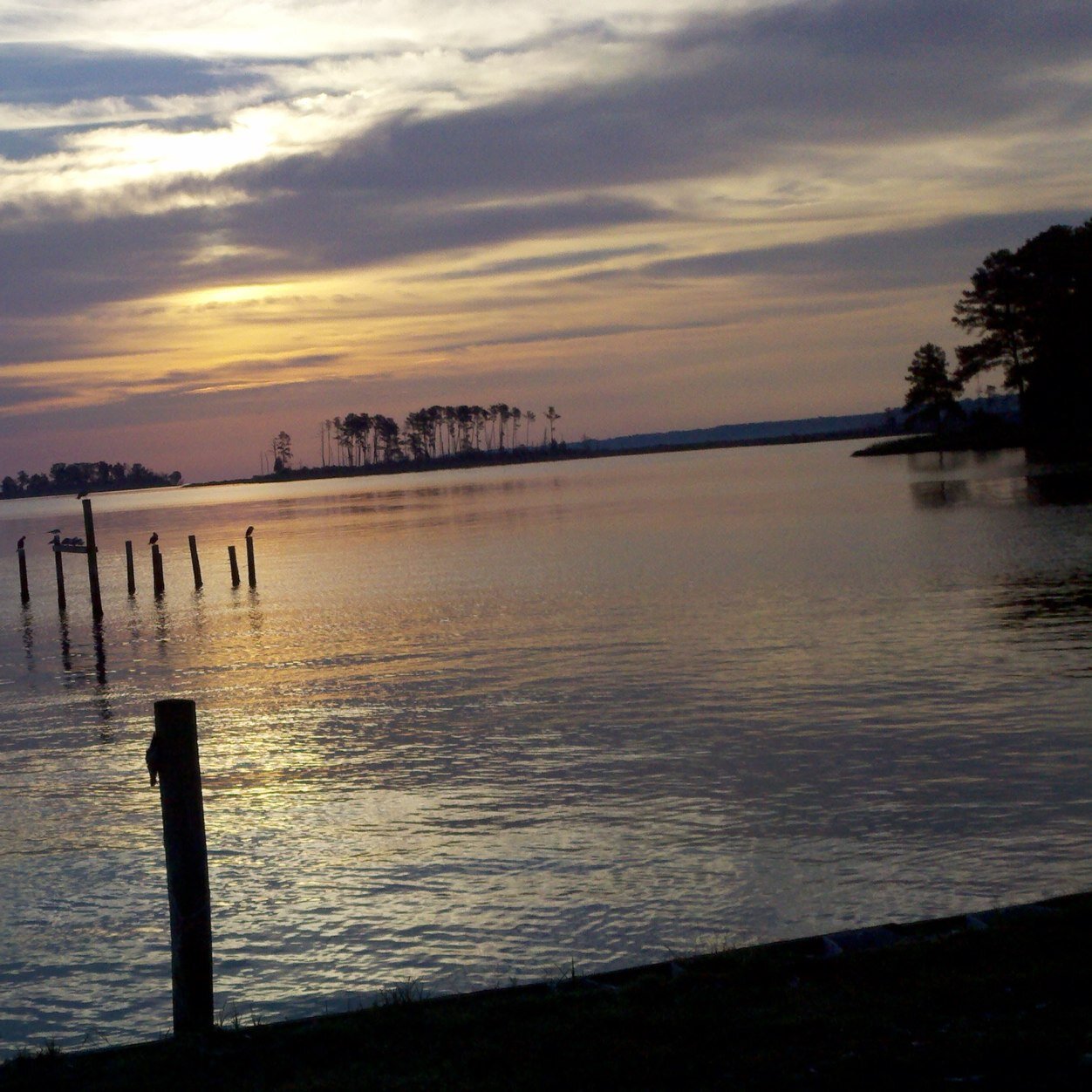 smith08817's profile picture. 